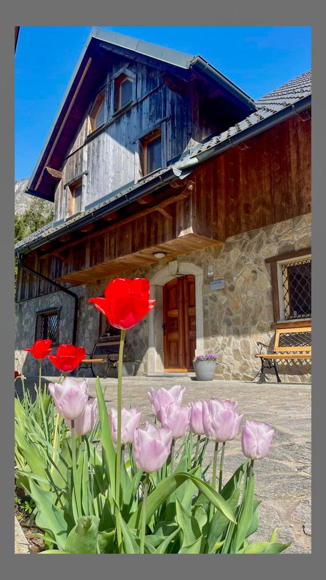 4 Elements Glamping & Apartments Bled Dış mekan fotoğraf